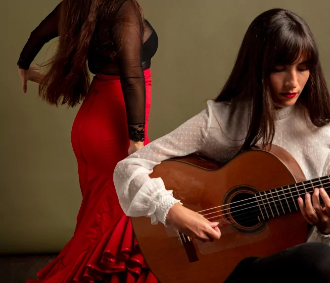 flamenco guitar